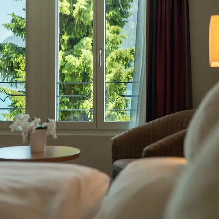 Seeburg - Adults Only 3* Ringgenberg