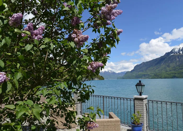 Hotel Seeburg - Adults Only Ringgenberg